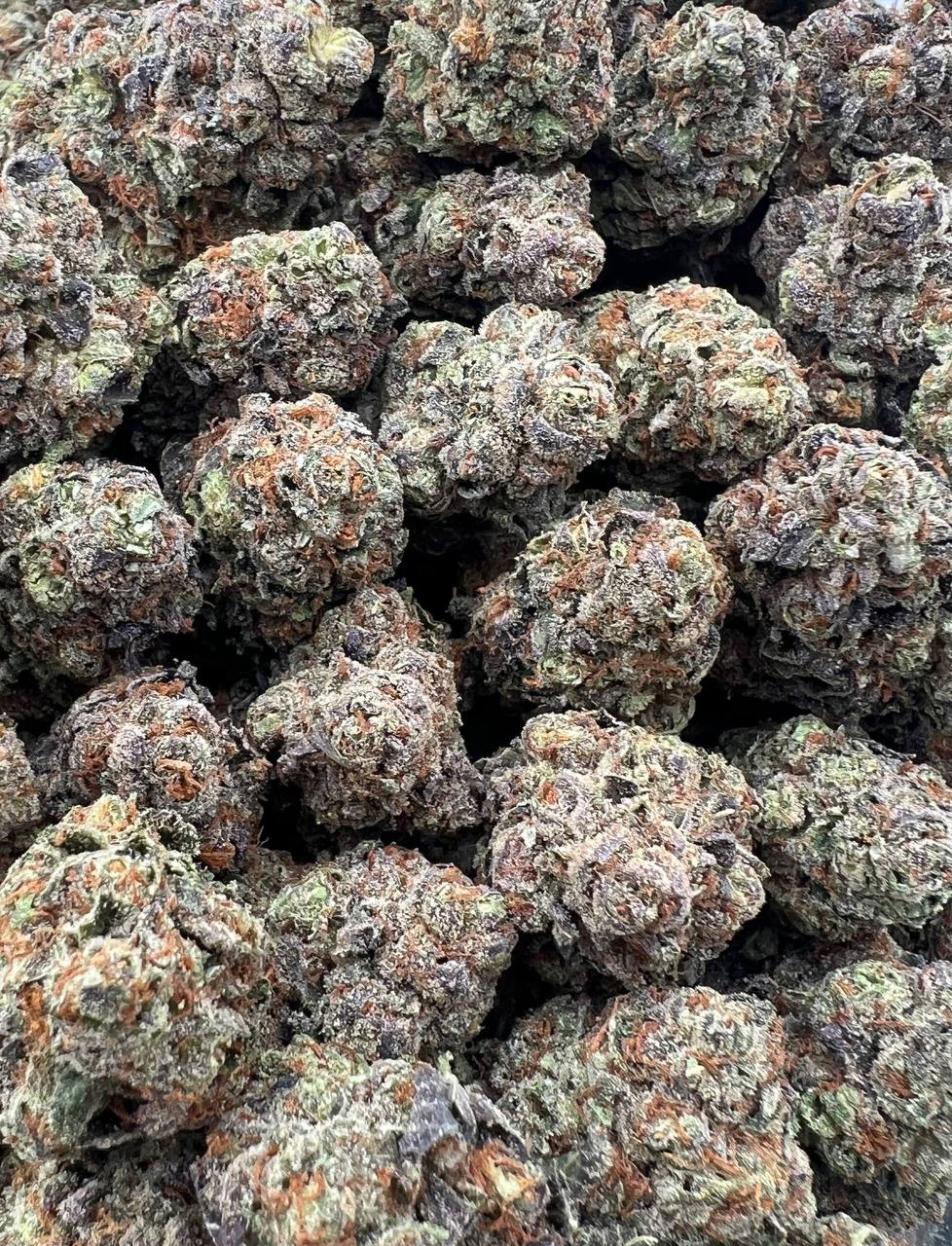 Tropicana Sunset strain image